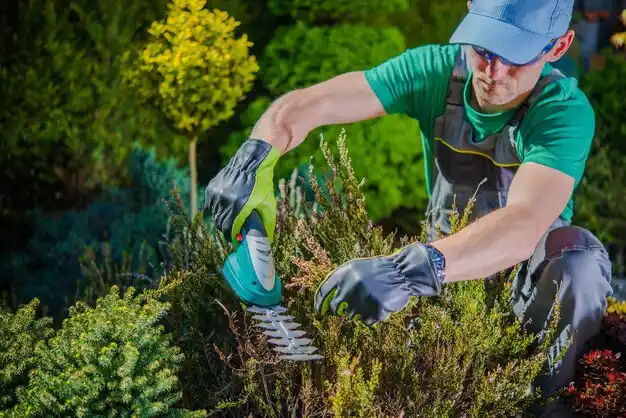 landscaping services Miamisburg